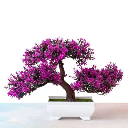 Bonsai Decoration Plants