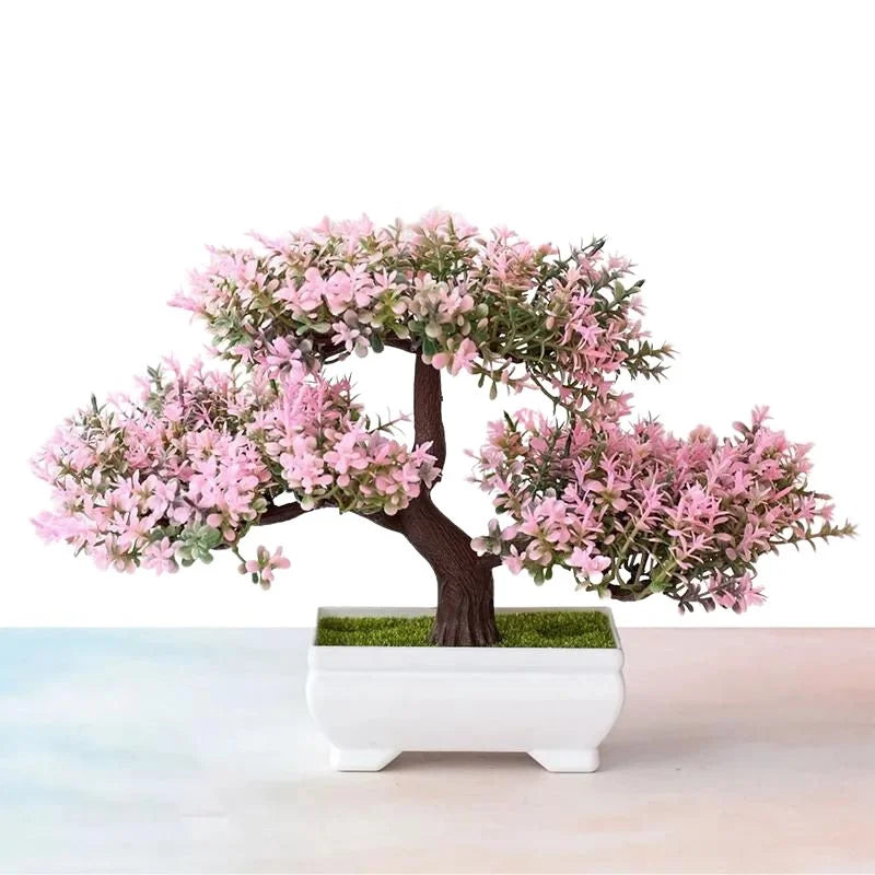 Bonsai Decoration Plants