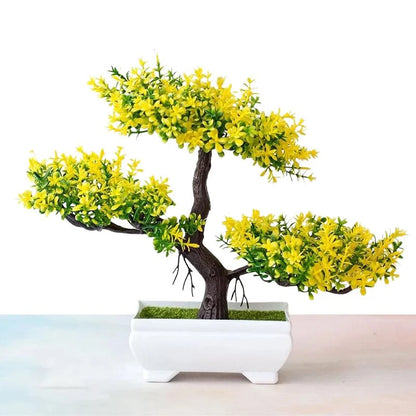 Bonsai Decoration Plants