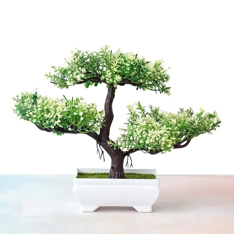 Bonsai Decoration Plants