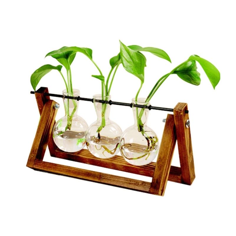 Glass Hydroponic Plant Vase